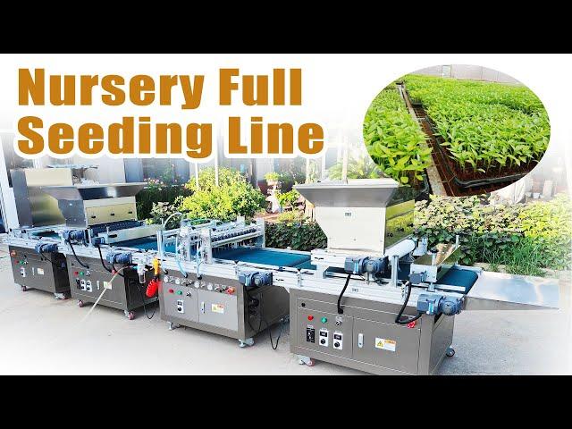 Double-Row Seeding with our Fully Automated Nursery Machine! Automatic Seeding Machine for Sale 2024