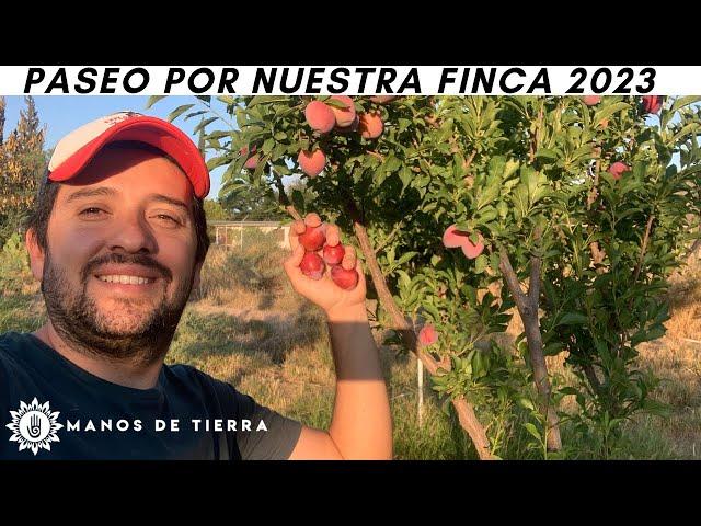 PASEO POR NUESTRA FINCA 2023 | LA VIDA EN EL CAMPO ‍‍