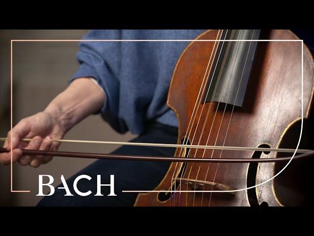 The viola da gamba | Netherlands Bach Society