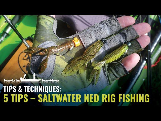 5 Tips for Fishing the Ned Rig System - Saltwater