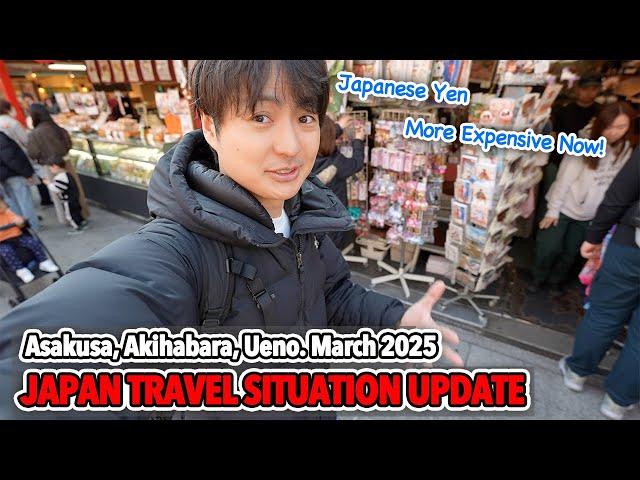 (Travel Situation Update) Is Japan Getting Expensive? Sakura Season and Osaka Expo is Coming Ep.554