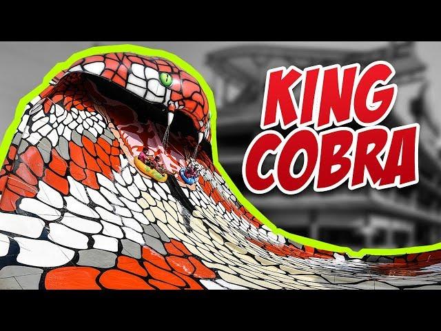 KING COBRA - AMAAZIA WATER PARK