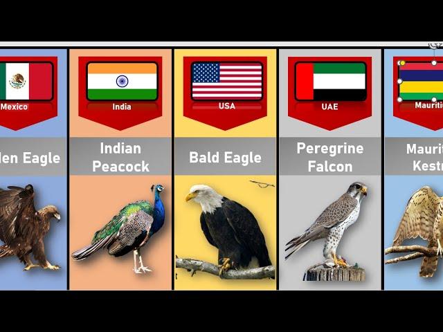 National Birds From Different Countries