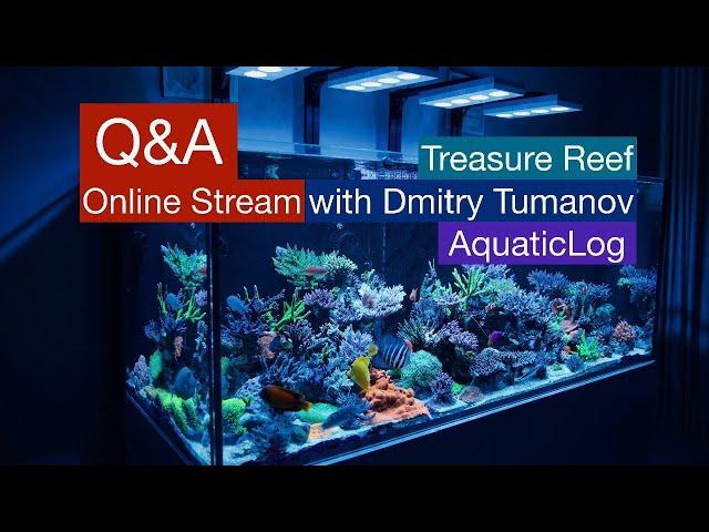 Online Q&A with Dmitry Tumanov