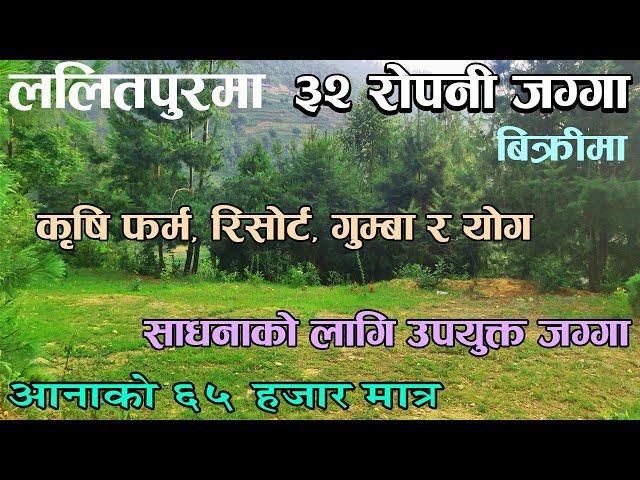 ललितपुरमा ३२ रोपनी जग्गा बिक्रीमा  |  Property on sale in Lalitpur