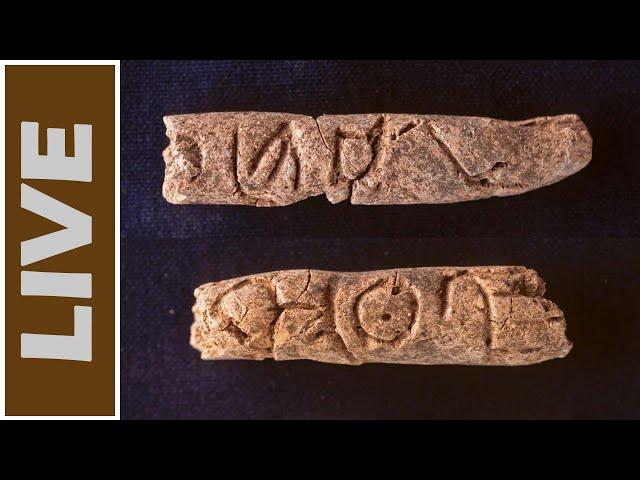 Latest Archaeological Discoveries (November 2024)