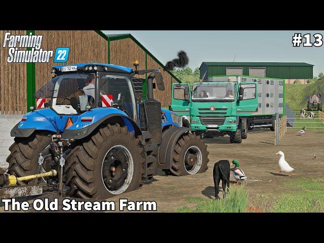 Farm Extension, New Shed & CowPen, Sowing Barley & Mowing Grass│The Old Stream│FS 22│Timelapse#13