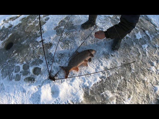 ЭТИ РЫБИНЫ РАЗОРВАЛИ НАМ ВСЕ СНАСТИ.ЛУЧШАЯ РЫБАЛКА ХАПУГАМИ В МОЕЙ ЖИЗНИ. САЗАН и ЩУКА НА ХАПУГИ.