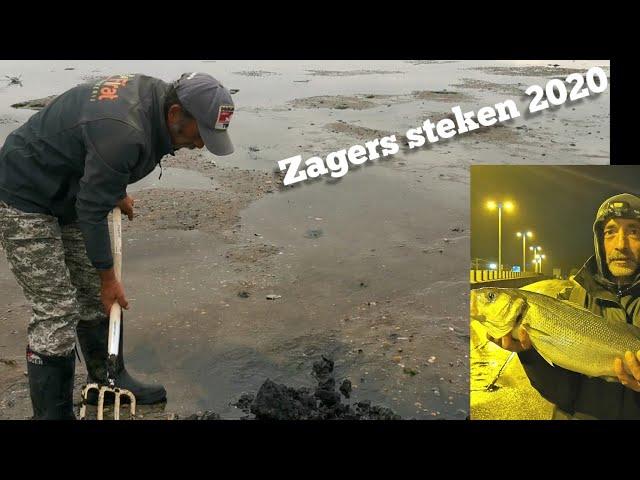 Zagers & pieren steken, zeebaars vissen Maasvlakte. Pumping lugworm.