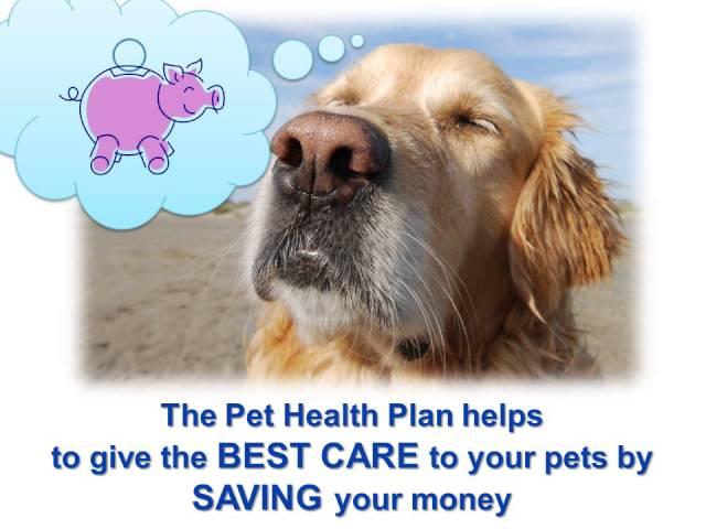 Pet Health Plan Video for Rowe