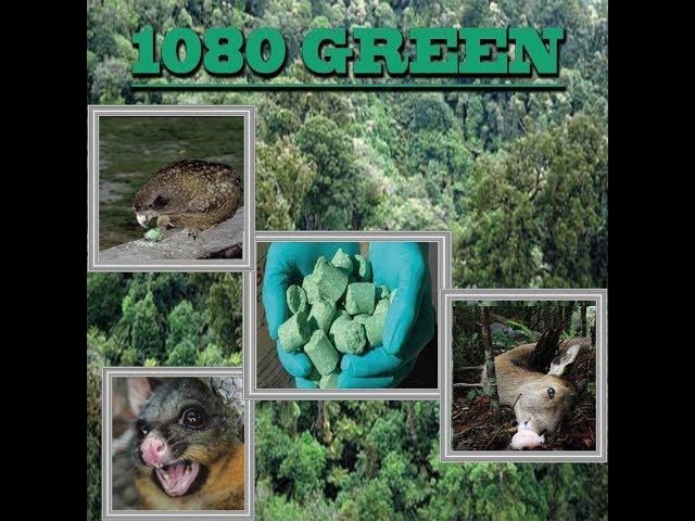 1080 Green Song