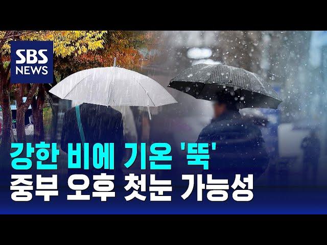 [날씨] 강한 비에 기온 '뚝'…중부 오후 첫눈 가능성 / SBS