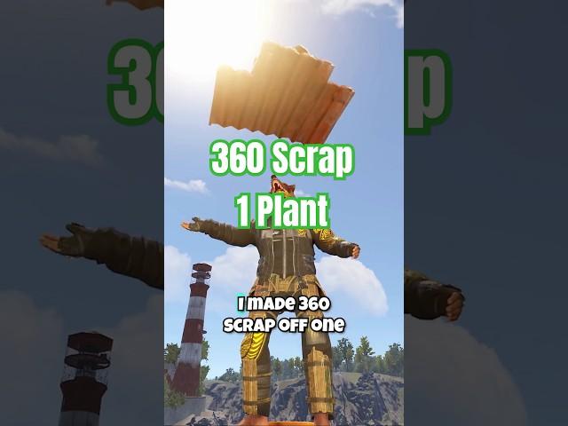 Flowers Are a New SCRAP Method in Rust!? #rust #rustshorts #rusttips