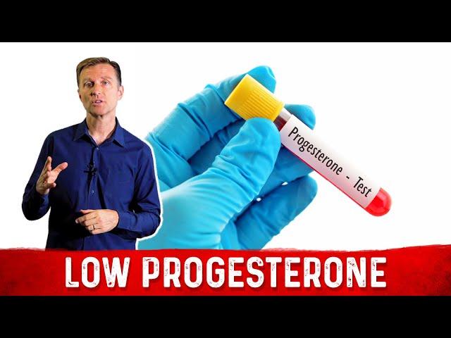 3 Best Remedy for Low Progesterone – Phytoestrogen, Sea Kelp & Progesterone Deficiency – Dr. Berg