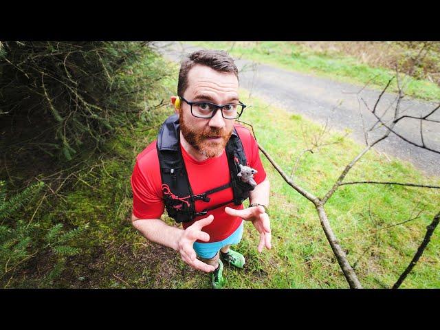 Running My First Ultramarathon (Pegasus Canum 40, Wales)