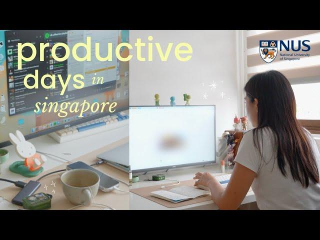 PRODUCTIVE DAYS IN MY LIFE: NUS final year diaries  job hunt, uni & self-care vlog