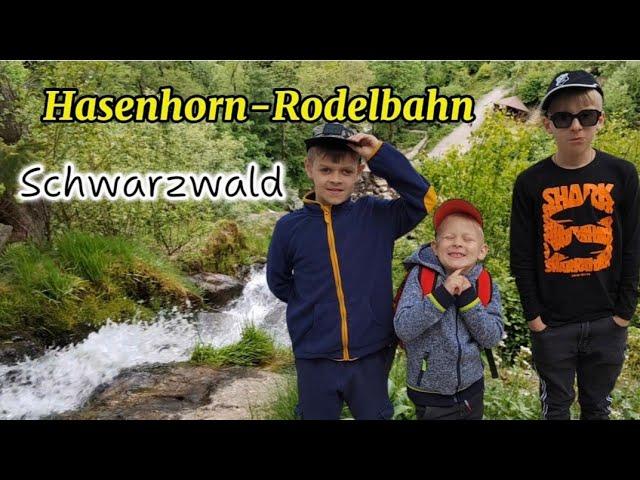 ЗАМЕЧАТЕЛЬНО  ПРОВЕЛИ ВРЕМЯ В  Hasenhorn-Rodelbahn. SCHWARZWALD.
