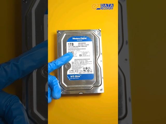 How to Fix a Clicking WD Hard Drive