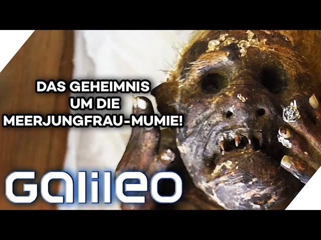 Gefangen vor 300 Jahren: Das Geheimnis der Meerjungfrau-Mumie? | Galileo | ProSieben