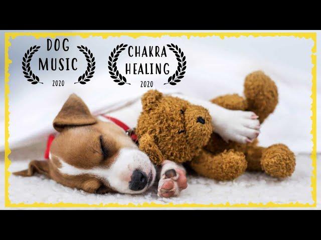 Calming Music For Dogs ~ Soothing Music for Dogs to relax ~ Dog Music to Sleep