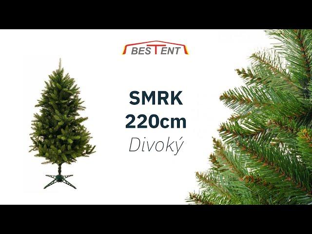 Vánoční stromek smrk Divoký 220cm - Bestent.cz