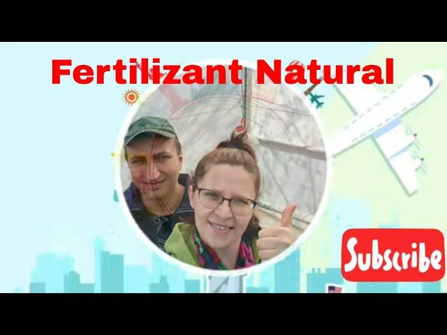 Reteta fertilizant natural pentru plante . #gradinarit #gradina