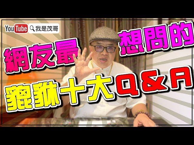 網友最想知道的｜貔貅十大問題Q&A解秘大公開