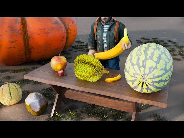 Fruit Size Comparison: Normal Apple Vs World Record Pumpkin