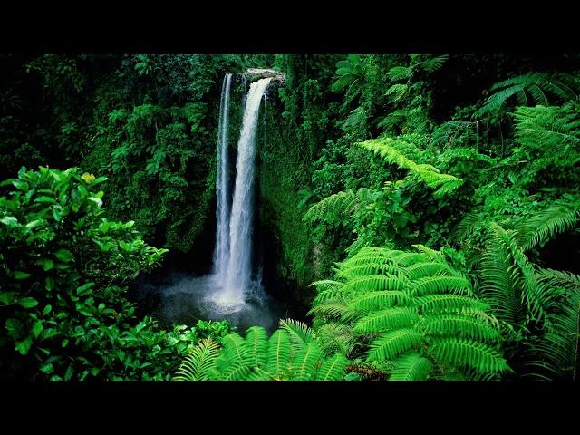 Relaxing video_Ava آرامش بخش ویدیو_آوا