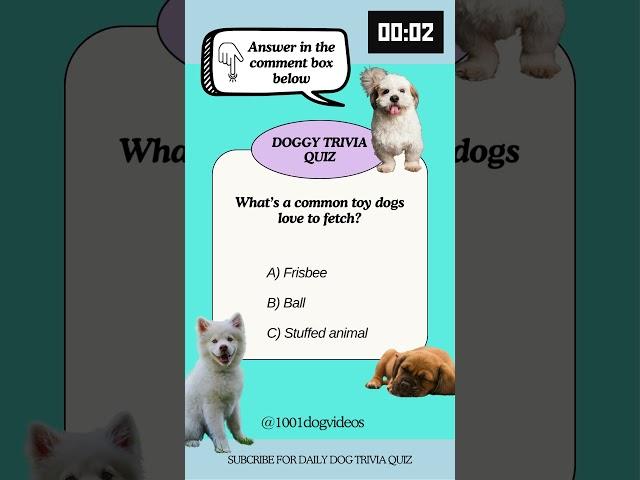 Daily Dog trivia quiz #doglovers #dog