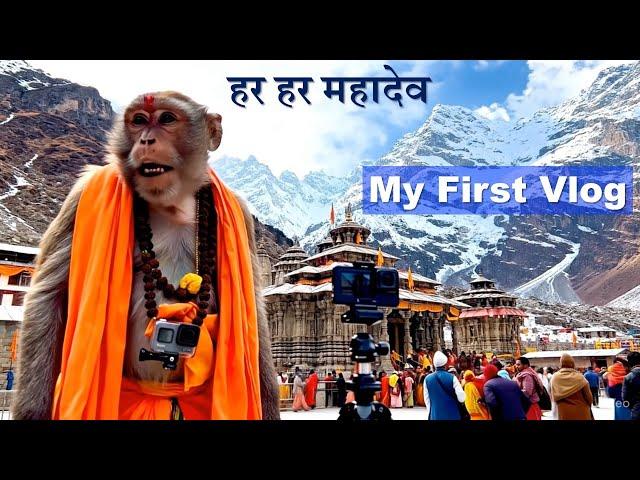 My First Vlog | Har Har Mahadev | VEO 3 Video | Monkey Vlog Video | Viral Monkey Video