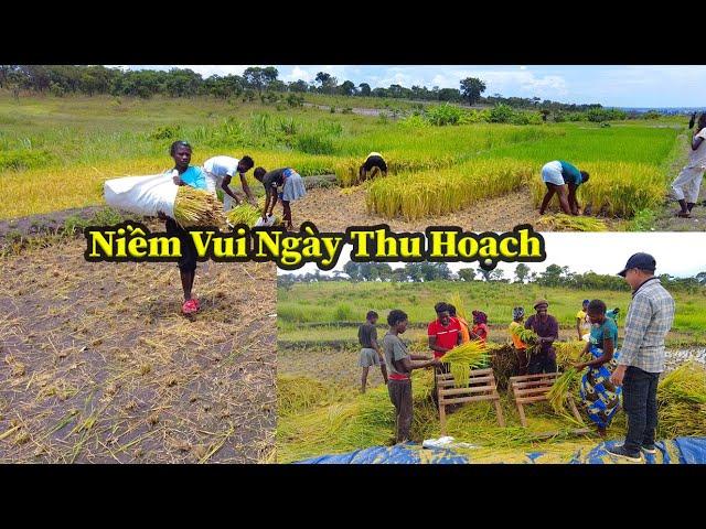 Quang Dũng || Thành Quả Cứ Nối Tiếp Nhau Như Câu Chuyện Cổ Tích Giữa Đời Thường