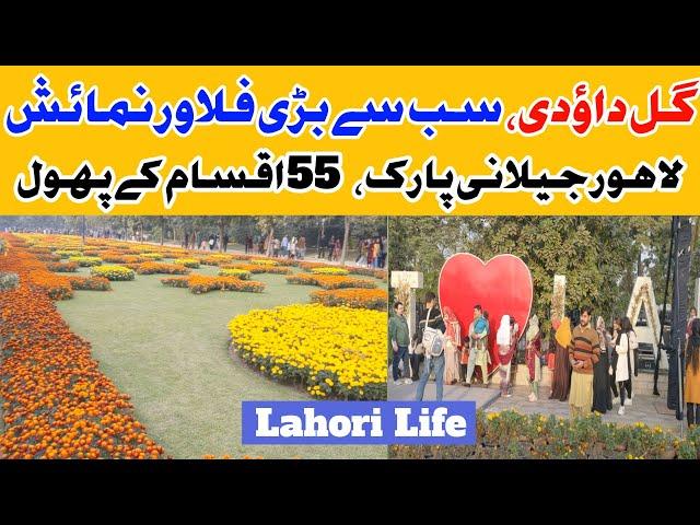 Jilani Park Flowers Exhibition 2024 | Gul E Daudi Flowers Exhibition | Lahori Life