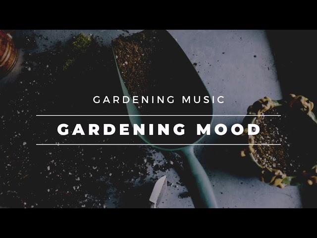 Daily BGM 日常 Gardening Music【Gardening Mood 园艺心情】全网最佳的园艺音乐心情陪伴｜纯音乐 | 轻音乐 | 音乐 陪伴 | 音乐 心灵 | 疗愈 平静