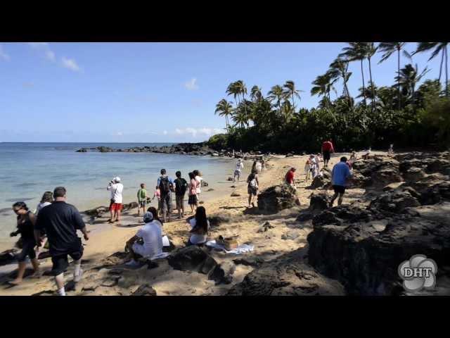 Ultimate Circle Island Oahu Eco-Adventure Tour