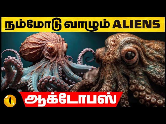 ஆக்டோபஸ்கள் வேற்று கிரக வாசிகளா?! | Interesting Facts about Octopus | Animaltube Tamil