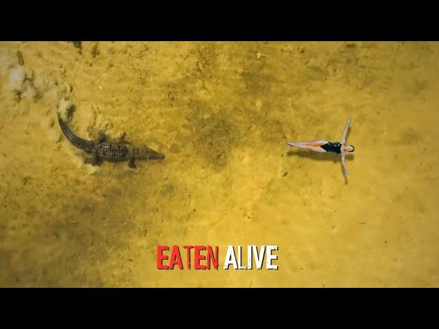 5 Shocking True Stories of Crocodile Attacks!