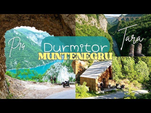 Drumuri panoramice, tiroliana peste canion și cabana din pădure | Durmitor | P14 - Tara | MUNTENEGRU