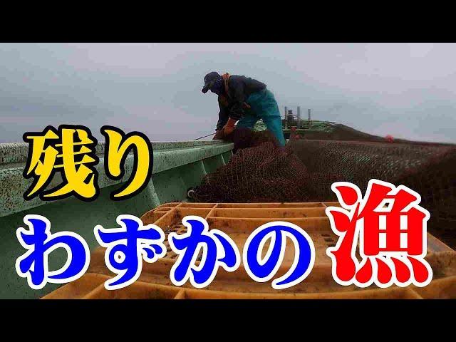 [42年目の漁も終盤]　◆セカンドステージへ3２◆　2023年の漁ももはや終盤、そろそろ切上げの中漁師人生も切り上げ?。#漁師の店 #広福丸 #漁師