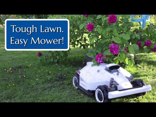 Robot Mower for Large, Tough & Uneven Lawn: MAMMOTION LUBA2 AWD