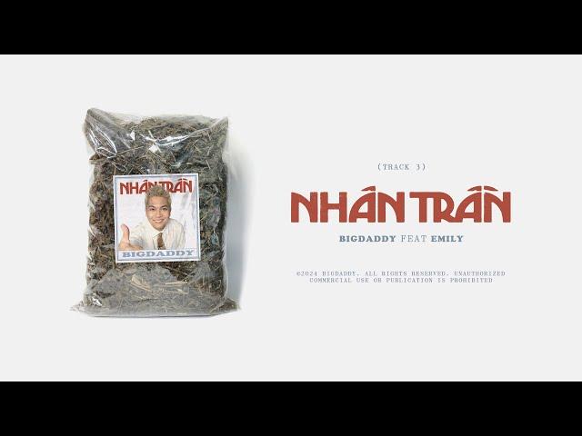 BIGDADDY - NHÂN TRẦN (ft. EMILY) | ALBUM NHÂN TRẦN | VISUALIZER VIDEO