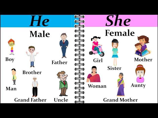 He and She | He and She use for kids |  He and She use | He और  She का उपयोग | He and She in English