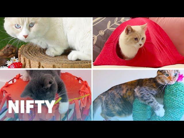 5 Adorable DIY Projects For Your Cat