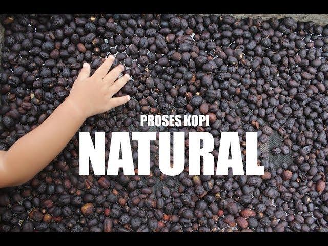 Natural Coffee Process (FULL)