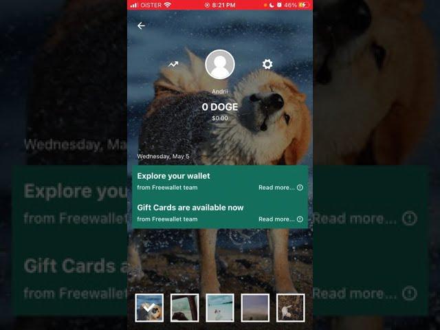 Dogecoin Wallet by Freewallet - full overview