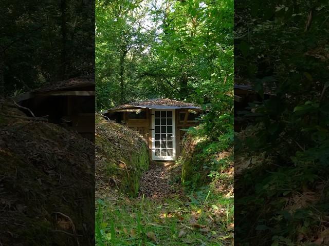 Semi-Buried Cabins Are Amazing!  #cabin #offgrid