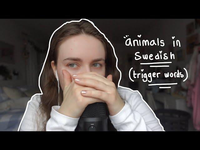 ASMR | Teaching you Swedsh (Animal Themed)