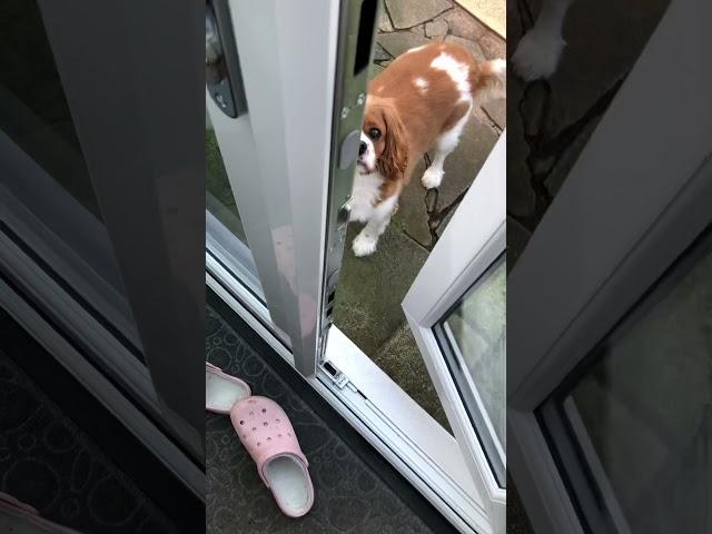 Do you want to come back inside?
