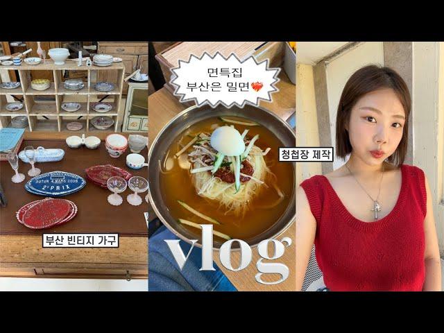 VLOG::면면면특집〰️부산은 밀면이지소파 구매하고 빈티지 가구 구경,갈비국수,시장도너츠