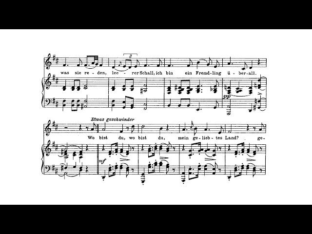 Der Wanderer(Schubert) 성악반주 Piano accompaniment